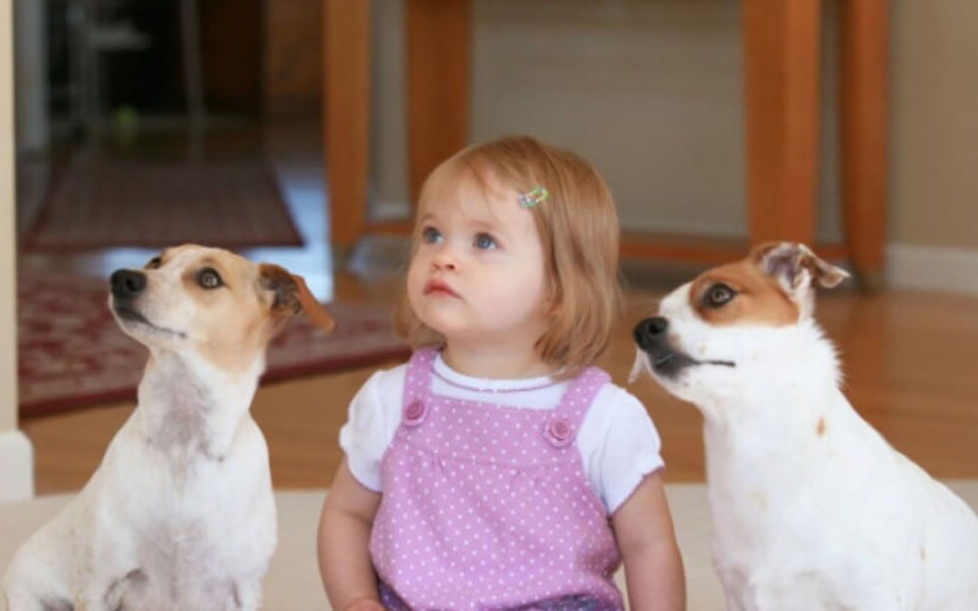 I cani riducono l'ansia nei bambini