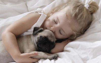 Dormire con il cane fa bene o fa male?